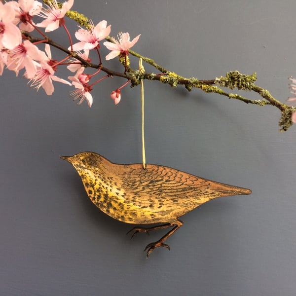 Thrush hanging decoration
