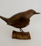 Dipper on driftwood - Image 4