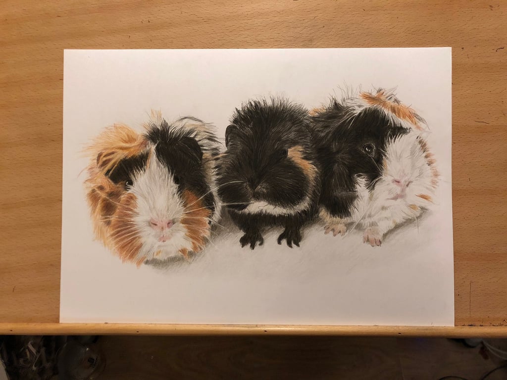 A3 Custom pet portrait for three pets made with coloured pencil