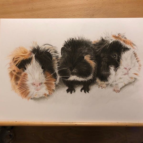 A3 Custom pet portrait for three pets made with coloured pencil