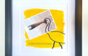 Framed Images, with Photos Applied, and White, Wood or Black Frames