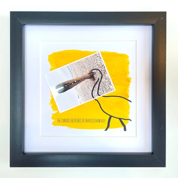 Ibis; framed image, mounted and printed on card and photographic paper