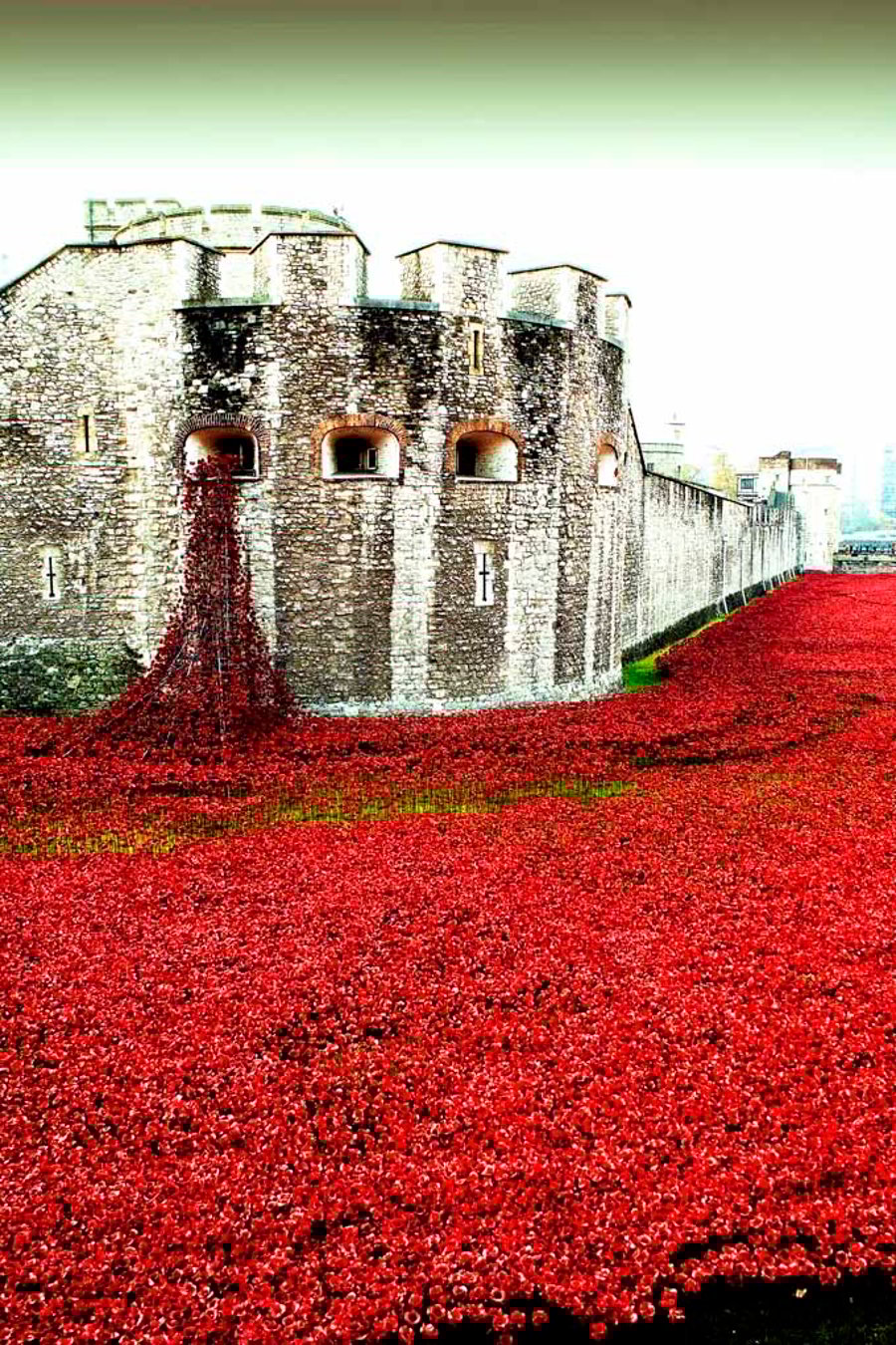 Tower Of London Poppies Red Poppy Photograph Print