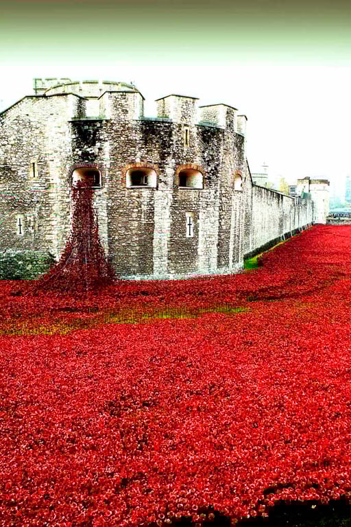 Tower Of London Poppies Red Poppy Photograph Print