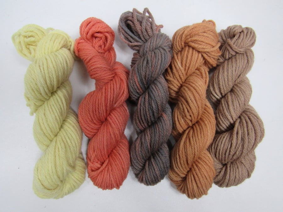 5 x 20g Natural Dye Autumn Gold Highland Fleece Yarn Pack