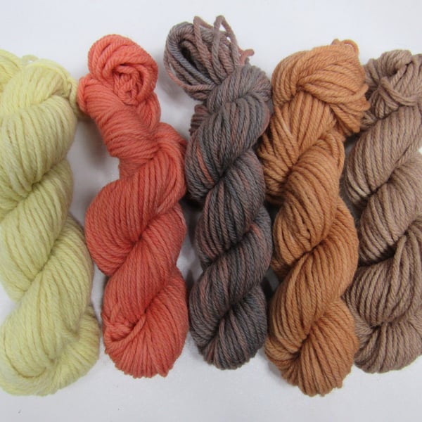 5 x 20g Natural Dye Autumn Gold Highland Fleece Yarn Pack