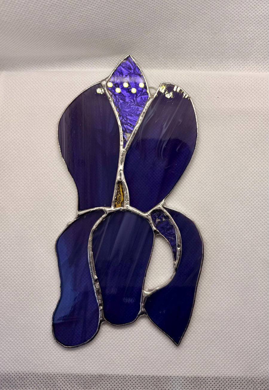 Stained glass iris - purple with white wispy petals