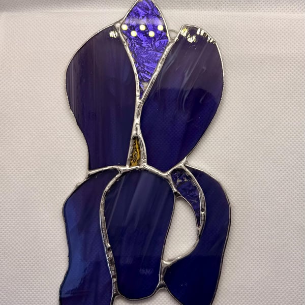 Stained glass iris - purple with white wispy petals