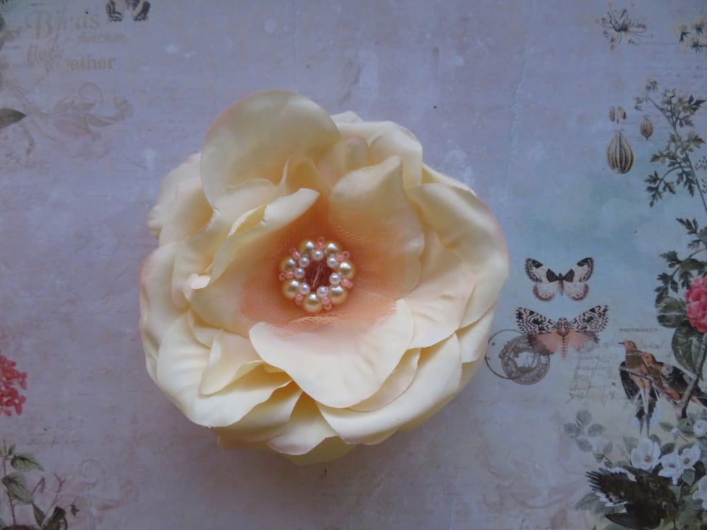 Pale Cream Apricot Peach Blush Rose Hair Flower Fascinator Clip