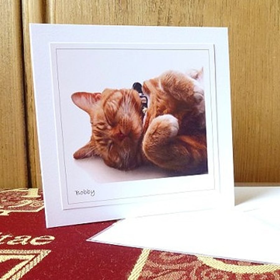SALE! 4 cards or notelets – ‘Cats’ (Bobby)
