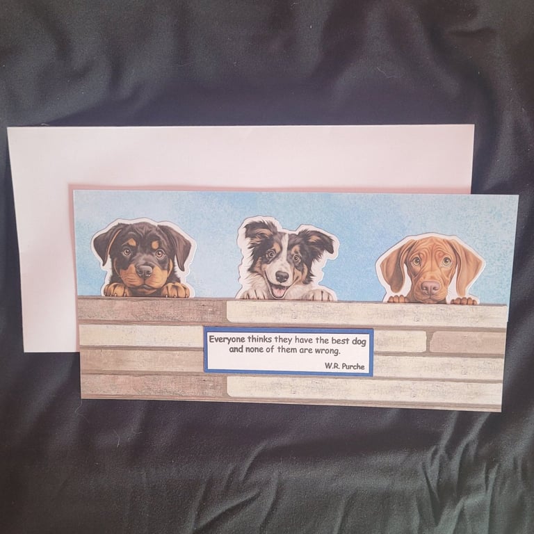 Peeping dogs blank greetings card, working dogs