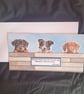Peeping dogs blank greetings card, working dogs