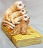 3 Meerkats hugging at a log - Image 2