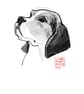 Pet portraits - Head - digital - pencil