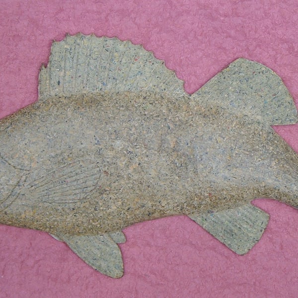 Perch - made to order