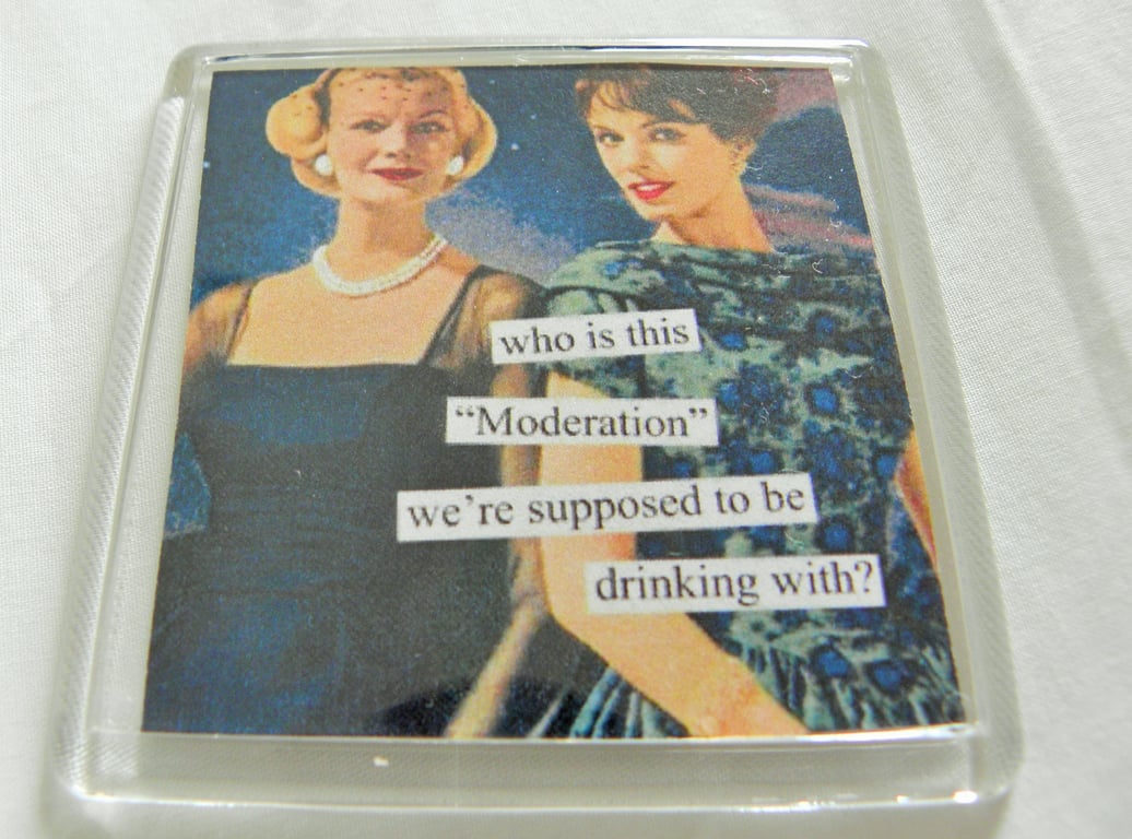 Drinking In Moderation Fridge Magnet
