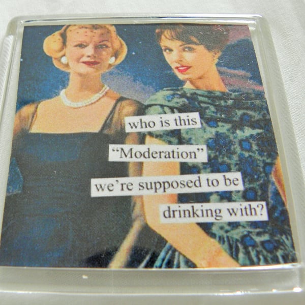 Drinking In Moderation Fridge Magnet