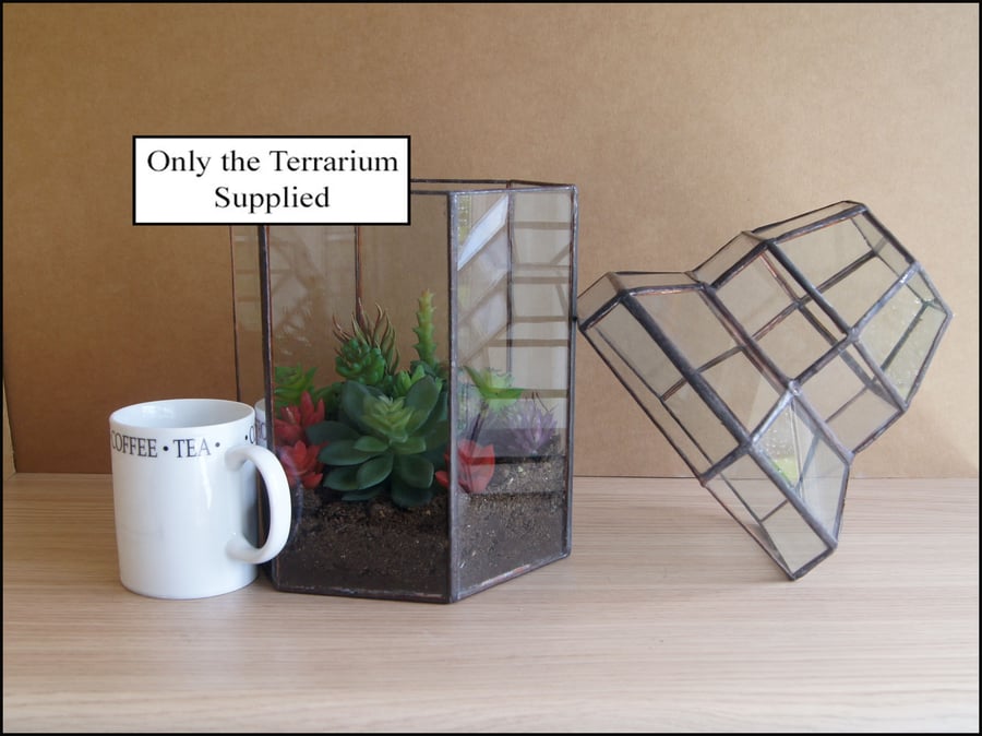 succulent terrarium-with removable Top