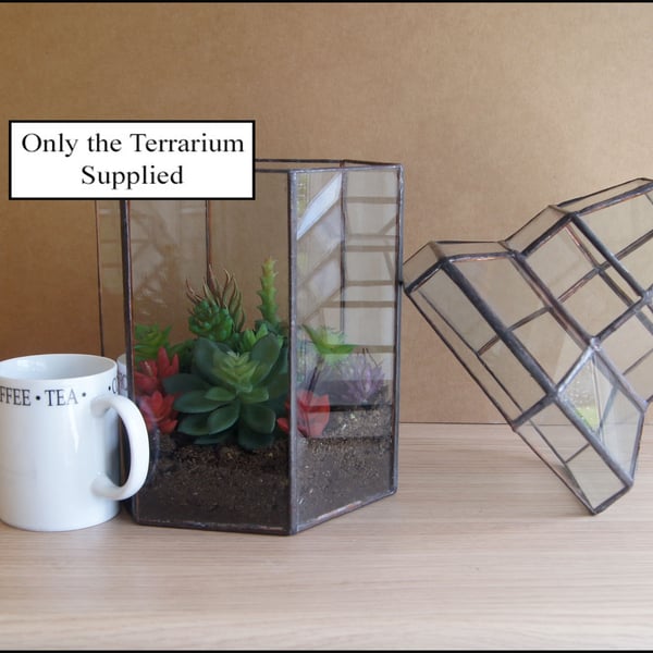 succulent terrarium-with removable Top