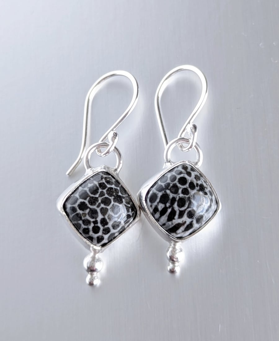 Image of Black Fossil Coral Earrings