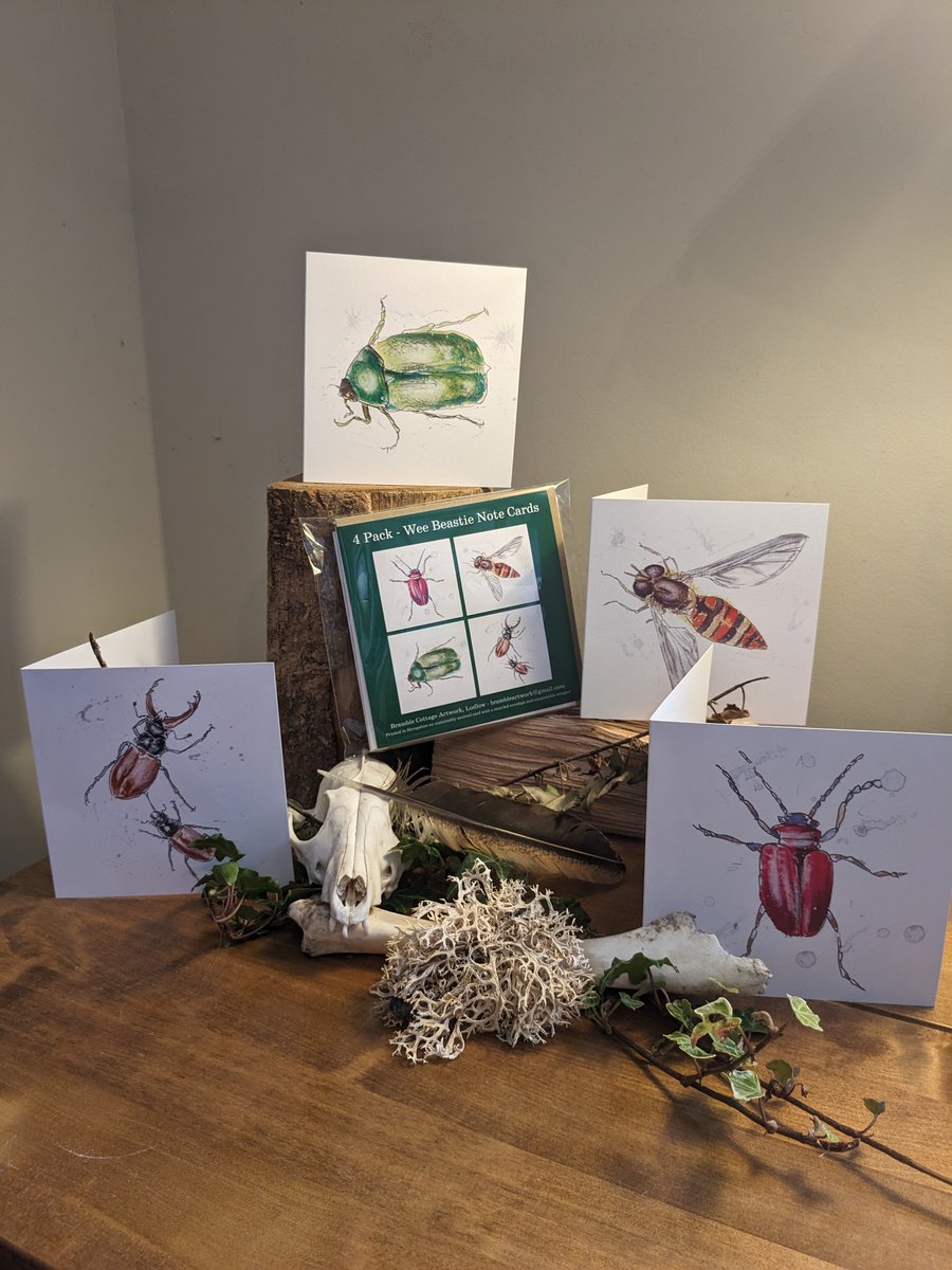 Note cards - a pack of 4, 'Wee Beasties' (Garden Insects)