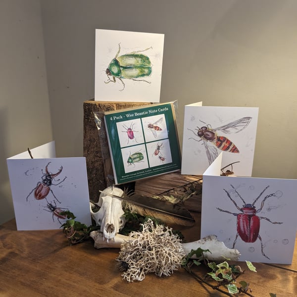 Note cards - a pack of 4, 'Wee Beasties' (Garden Insects)