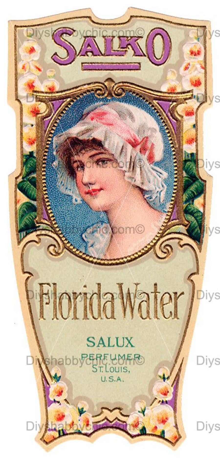 Waterslide Wood Furniture Decal Vintage Image Transfer Shabby Chic Florida Water