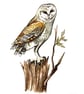 A Luxury Christmas Owl Garland - Handmade Card - unique design - Image 2