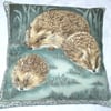 A Hedgehog and her two youngsters in a moonlit garden cushion