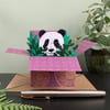 Panda card; Personalised, Birthday or Blank. Panda "pop up" gift card holder