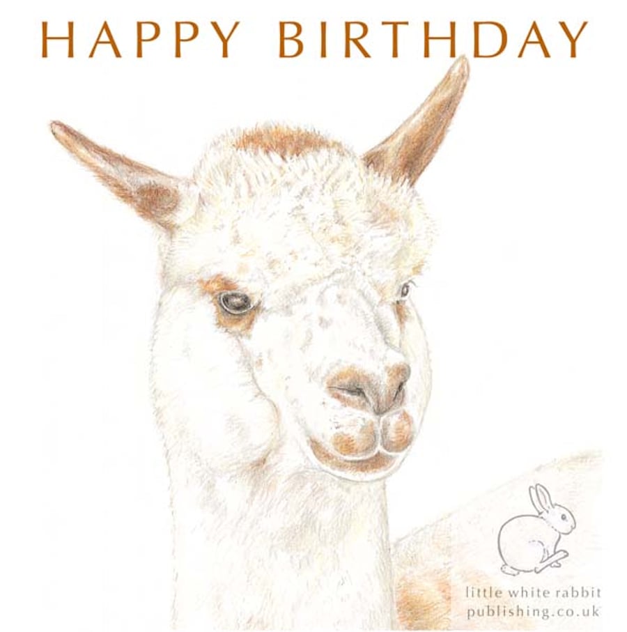 Matthew the Alpaca - Birthday Card