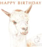 Matthew the Alpaca - Birthday Card - Image 1