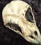 Corvid Skull - ceramic decoration - Image 2