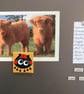 Ladybird Magnet - Image 7