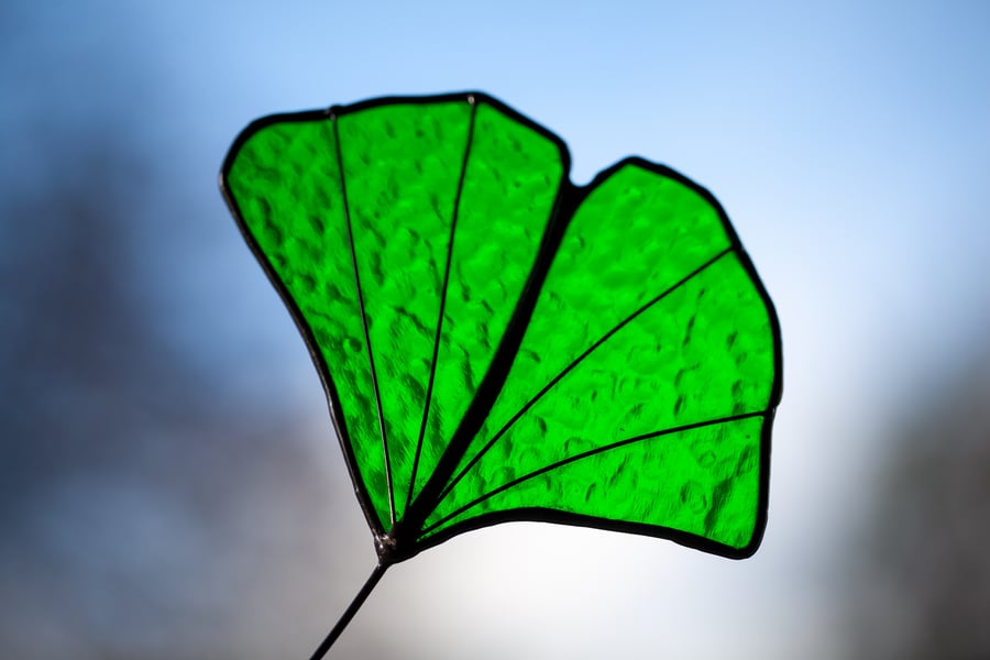 Stained Glass Ginkgo Leaf Suncatcher