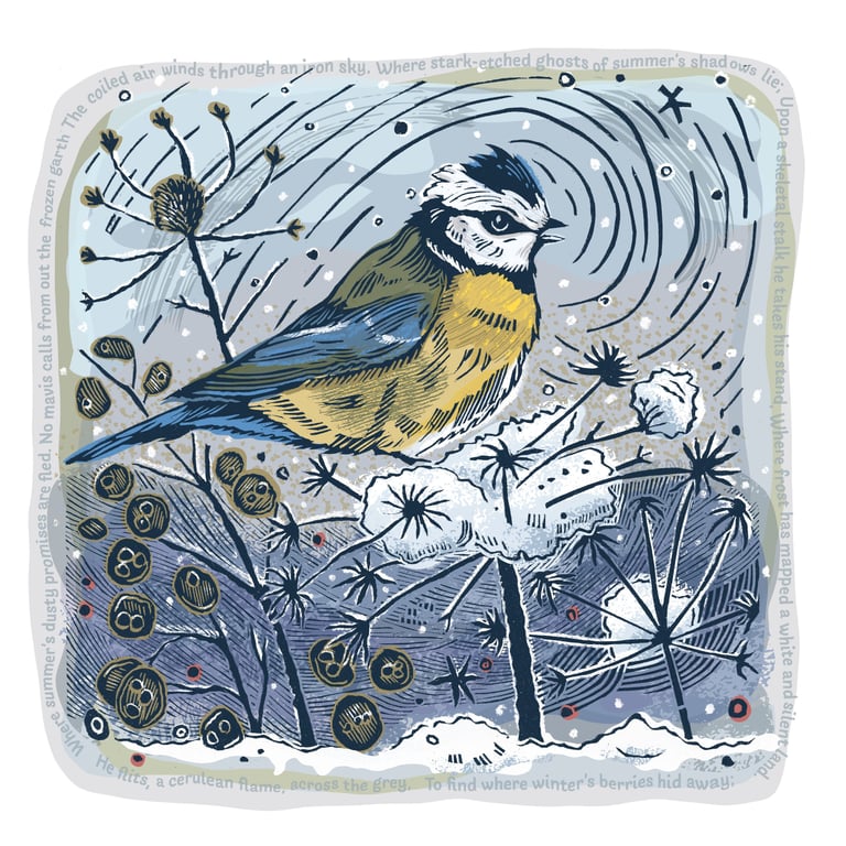 Bluetit- A Frost mapped a White and Silent Land Original. Hand-Finished Studio P