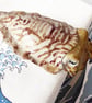 Cuttlefish Ceramic Sculpture - Handmade - Image 6