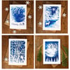 Pack of 4 Welsh Christmas cards from Cyanotype images