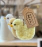 Three Spring Chicks - Image 1