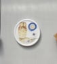 Tawny Owl mini wall plate  - Image 8