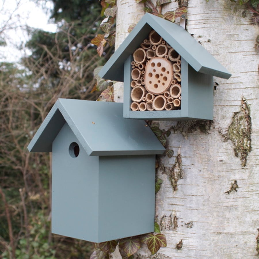 The Birds and the Bees, Wild Thyme.