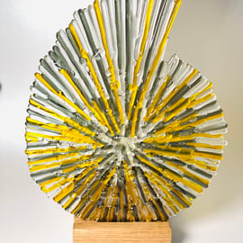 Ammonite - fused glass sculpture in oak base 