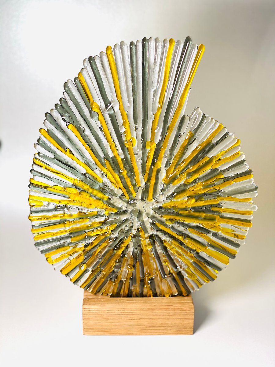  (Made to order) Ammonite - fused glass sculpture in oak base 