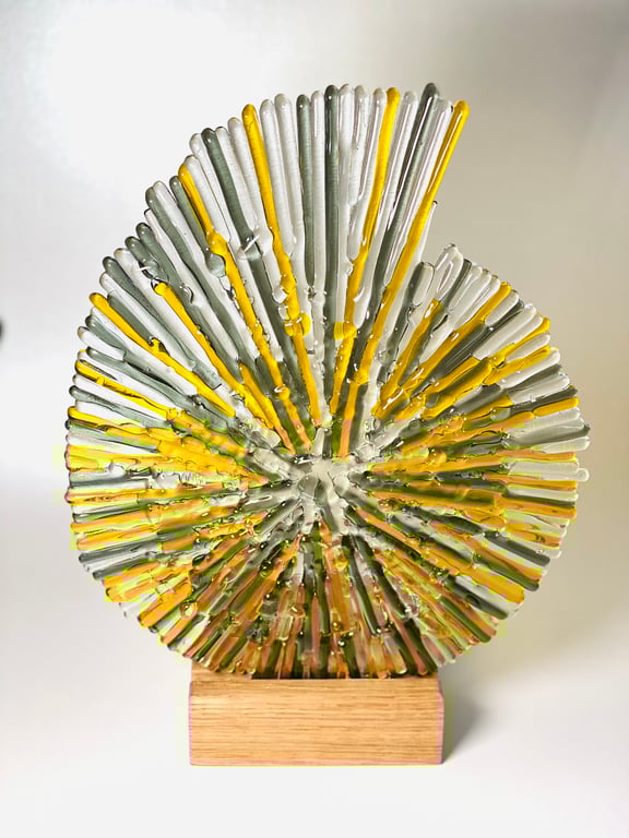  (Made to order) Ammonite - fused glass sculpture in oak base 