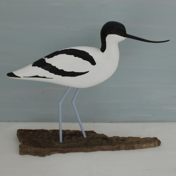 Avocet