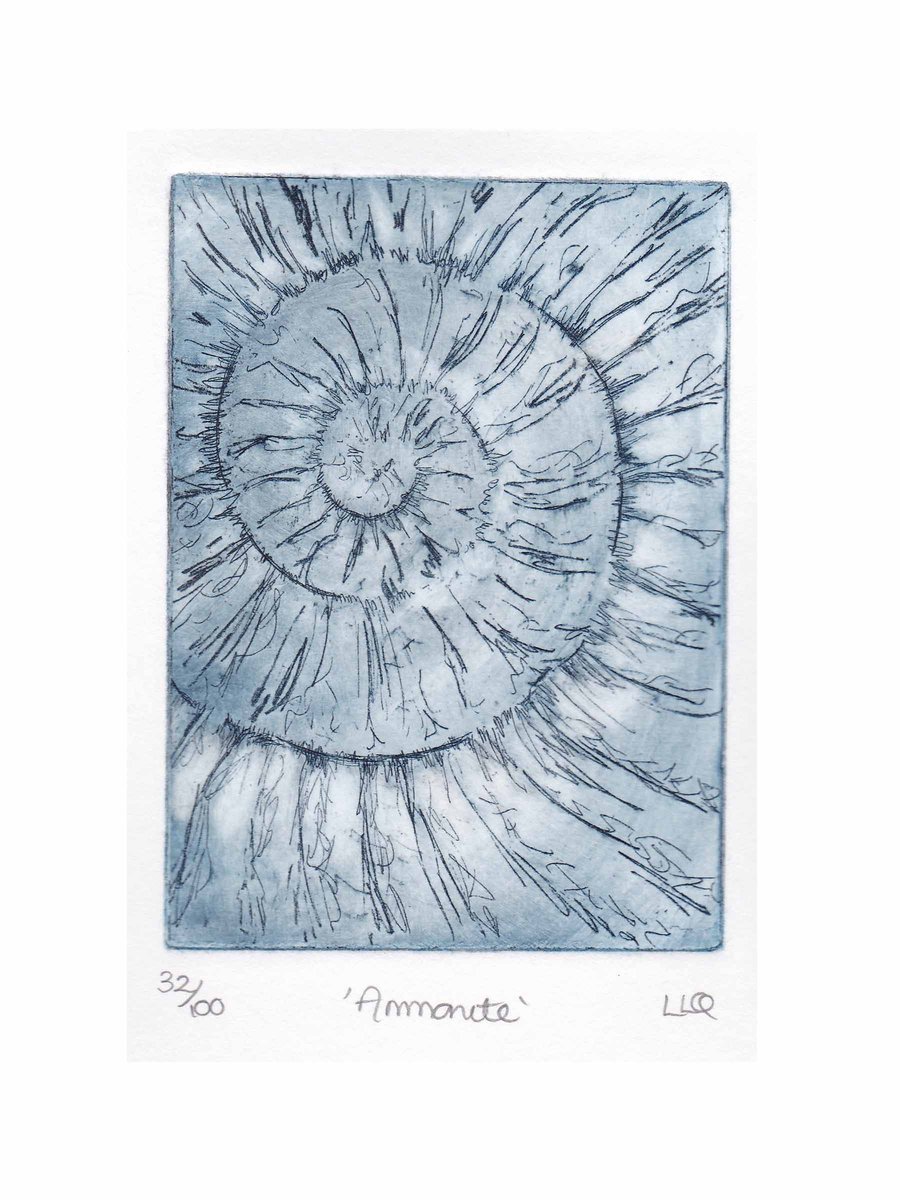 Etching no.32 of an ammonite fossil in an edition of 100