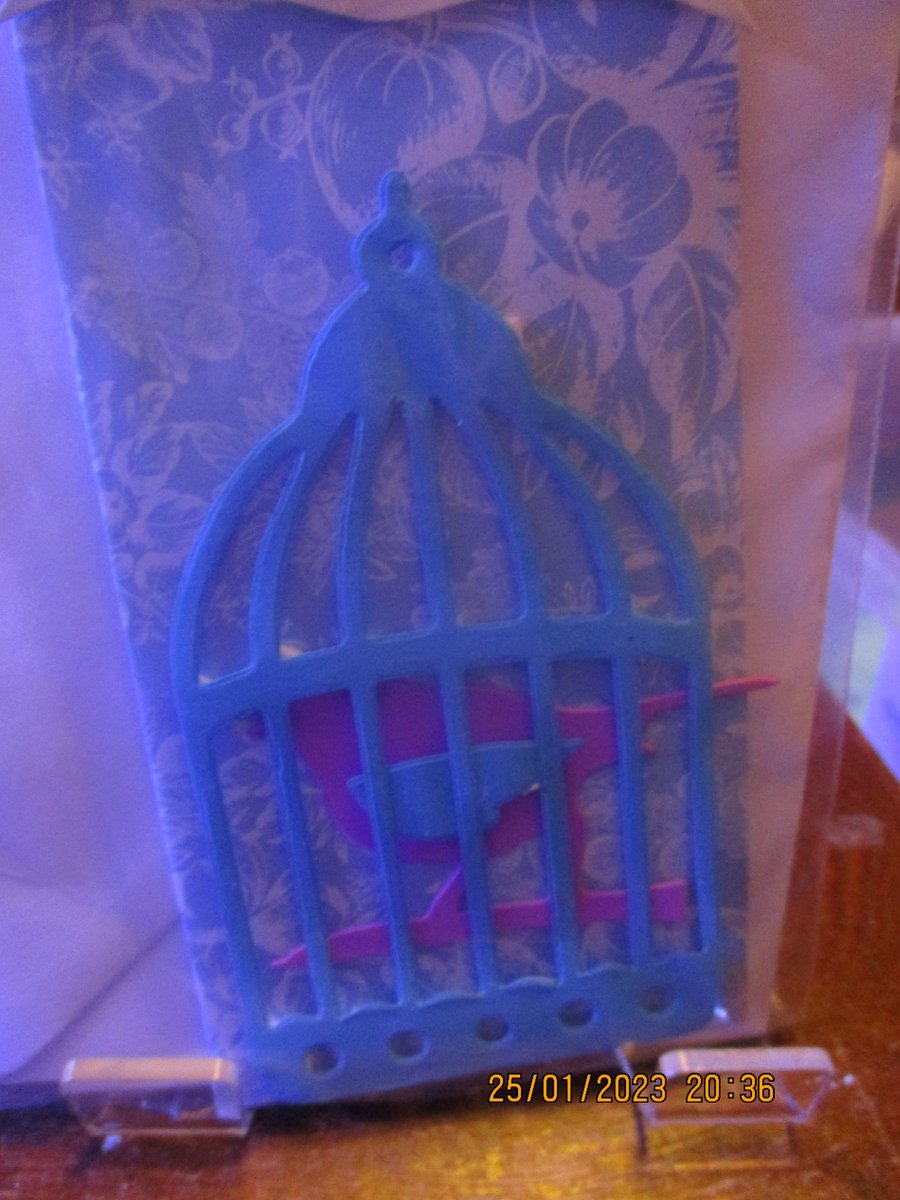 Birthday Greetings Card