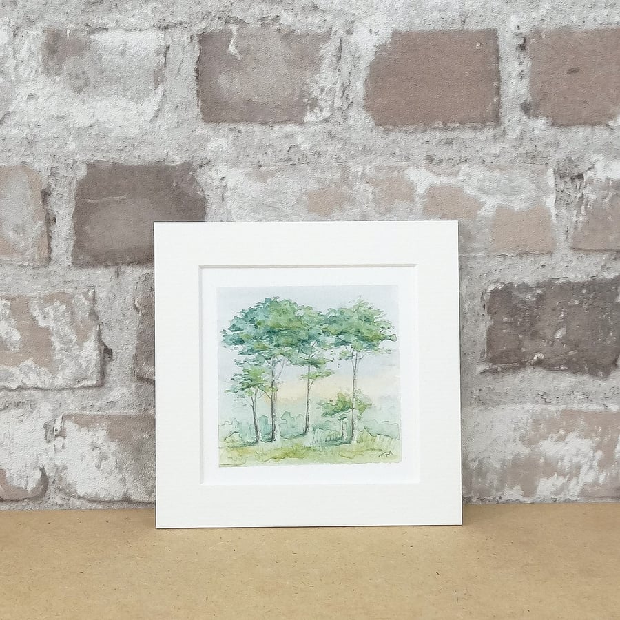 Original Art Watercolour Miniature Painting 'Pine Trees' - 5" x 5" Mount