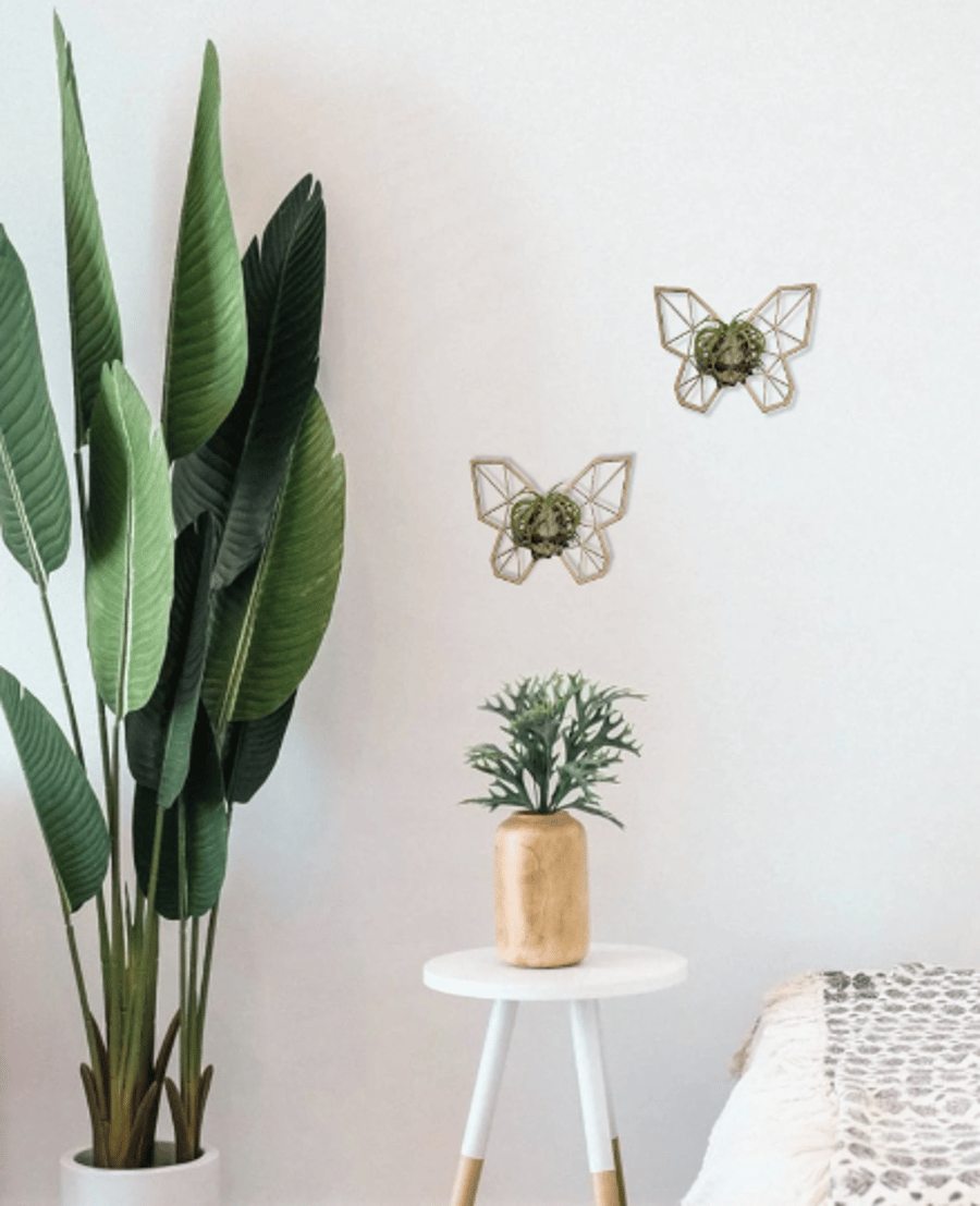 Butterfly Indoor Wall Planter, Air Plant Holder, Hanging Planter, Home Décor, UK