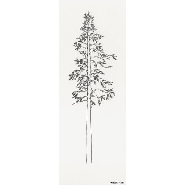 Scandinavian Pine Tree no.1 - limited edition print from pen drawing